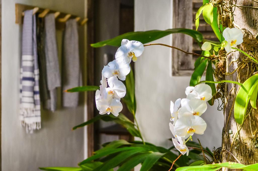 Casa Lola Villa Trancoso Eksteriør bilde